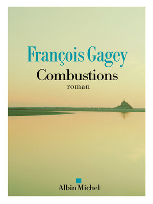 cover image of Combustions
